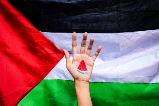 How-to: Help families in Palestine via Operation Olive Branch